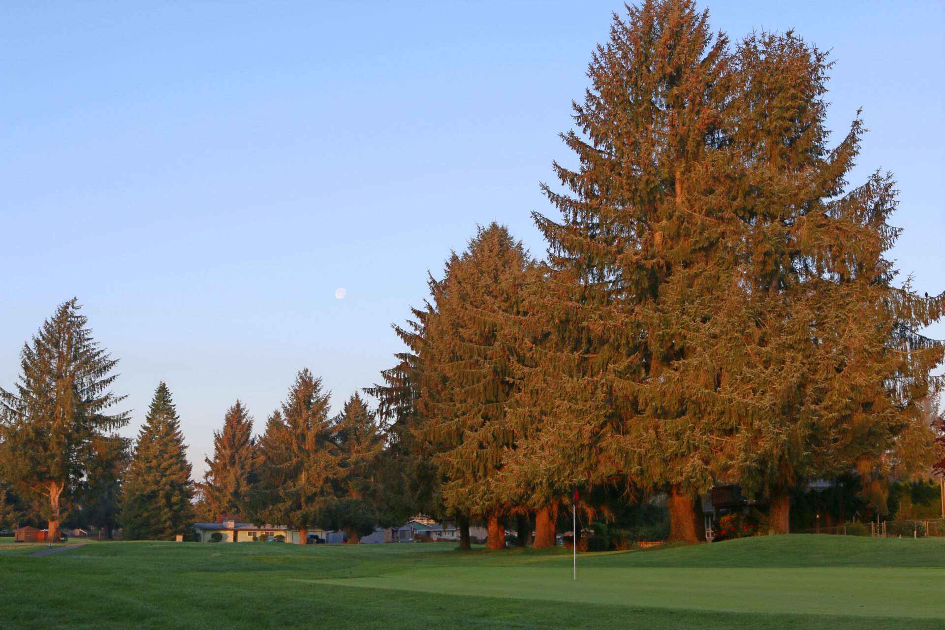 Capitol City Golf Course Olympia, WA