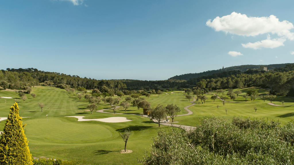 Ballyhack Golf Club image