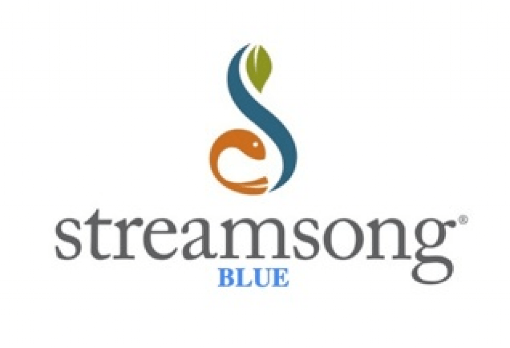 Streamsong (Blue) 1 Streamsong (Blue) 1