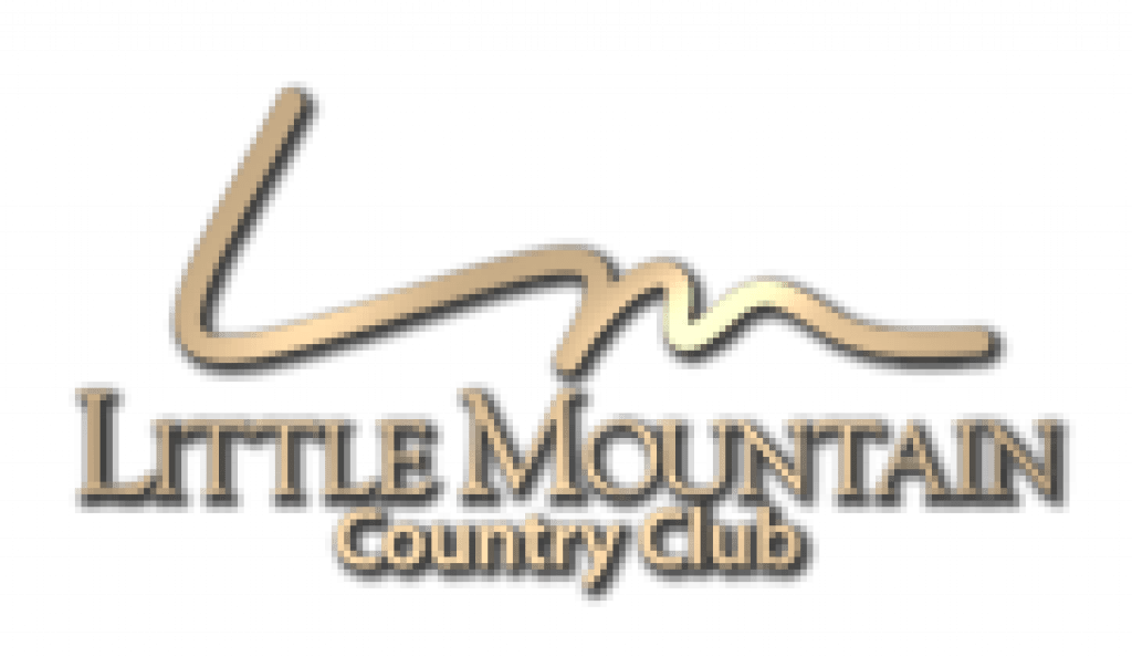 Little Mountain 1