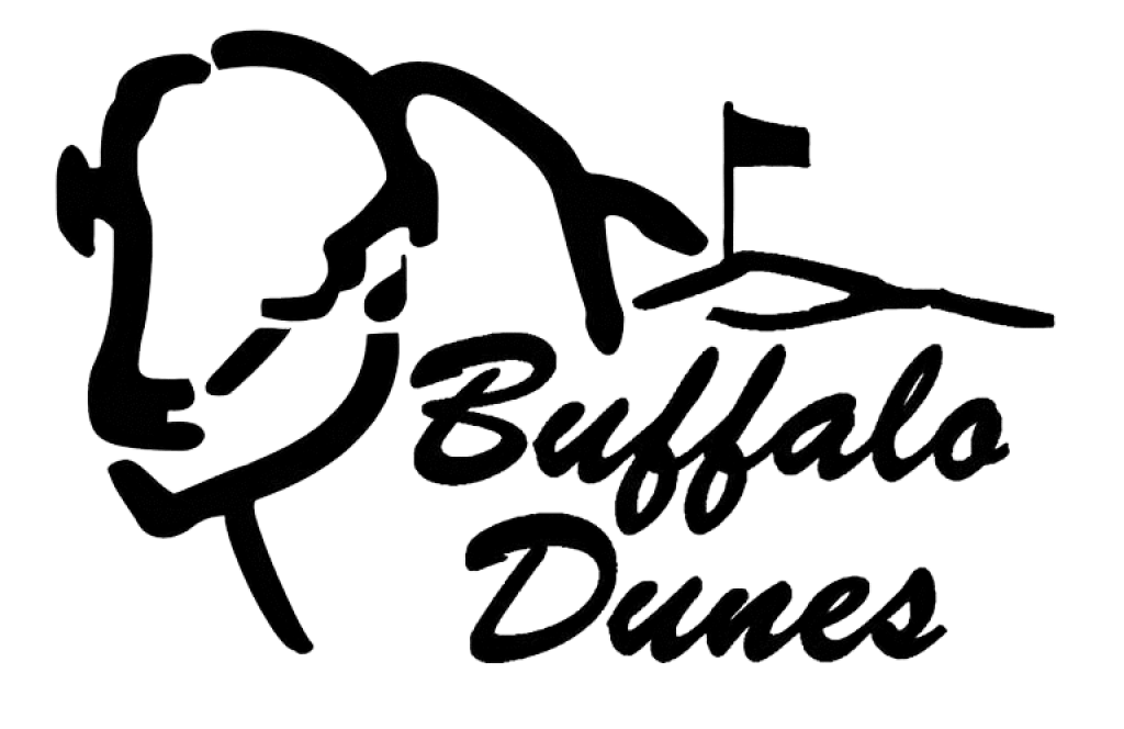 Buffalo Dunes 1