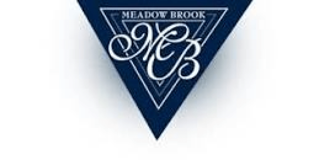 Meadow Brook  1