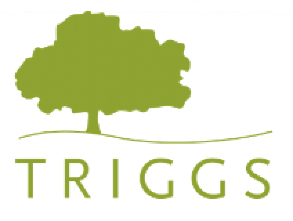 Triggs Memorial 1