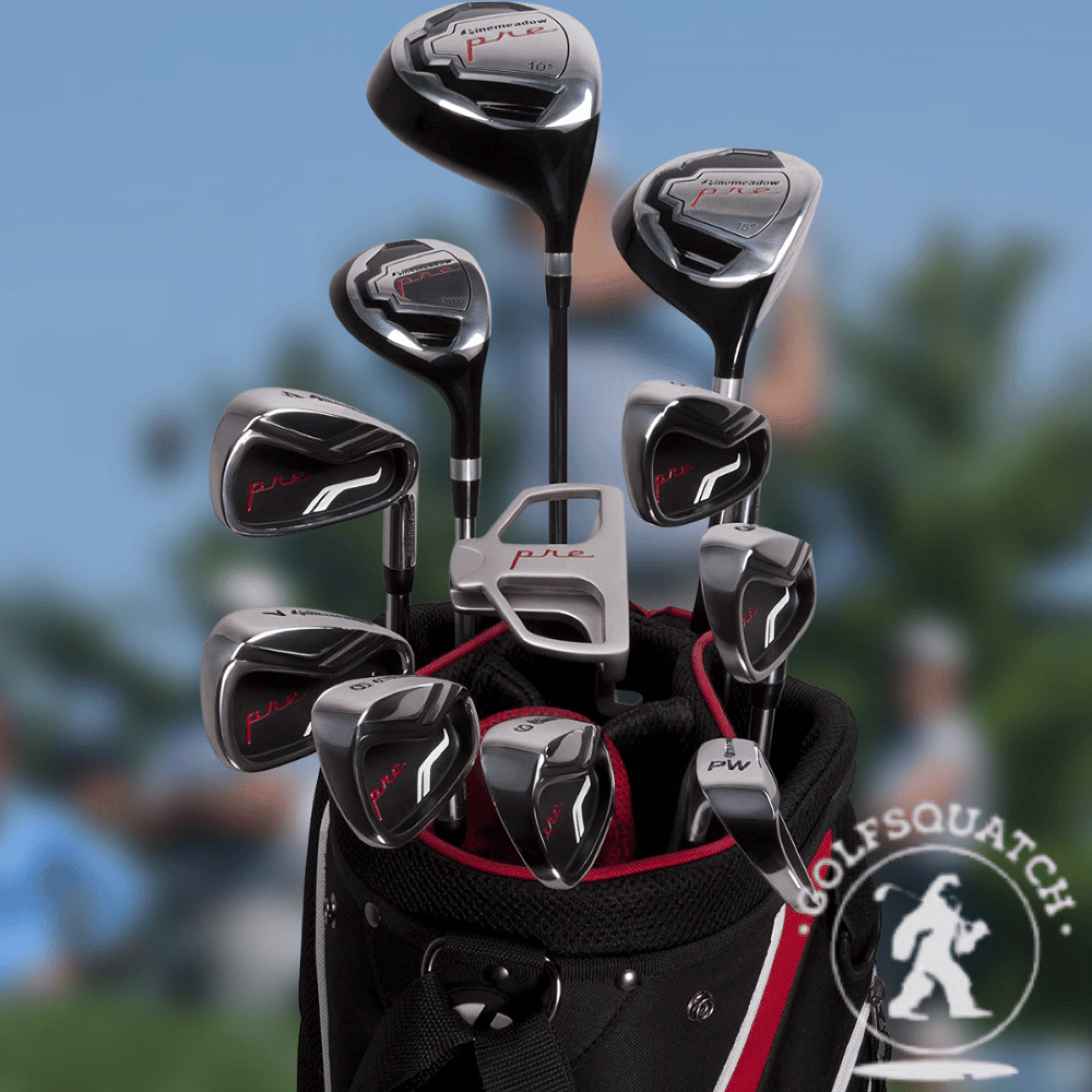 Best Golf Clubs for Beginners 2024 Guide