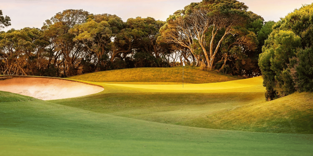 What Are Executive Golf Courses? Golfsquatch