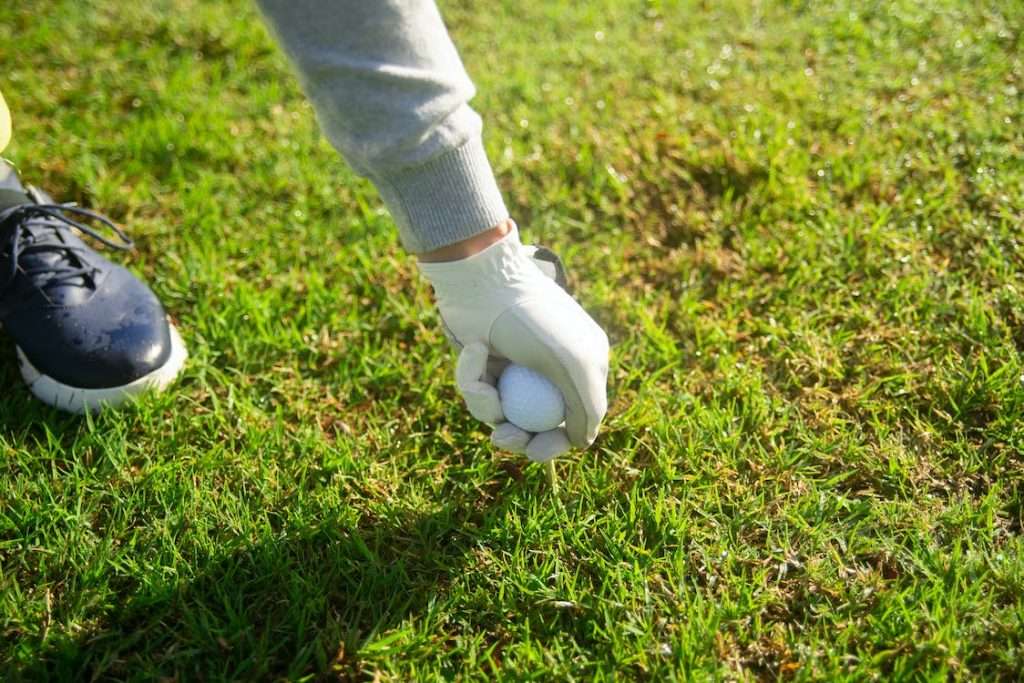 What is a Birdie in Golf 2 Birdie in Golf