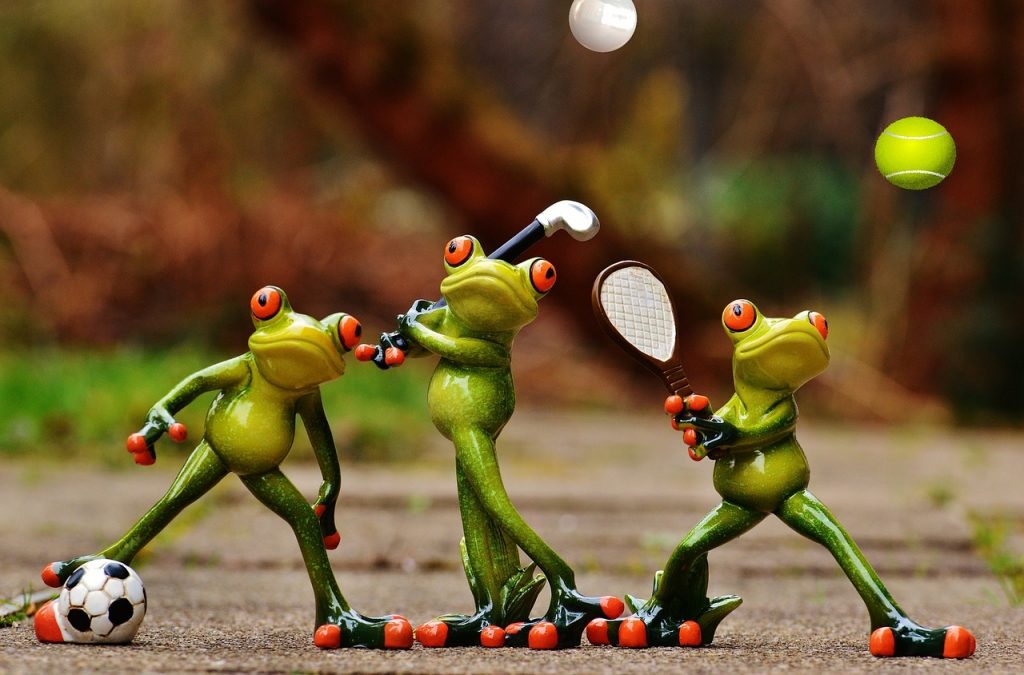 3 sporty frogs
